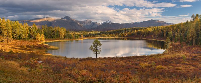 иллюстрация глобальной проблемы фото превью