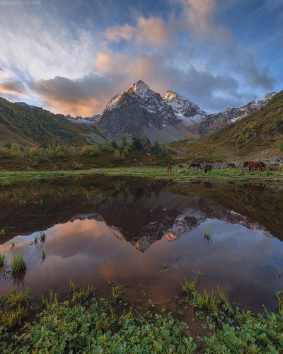 Reflections of autumn
