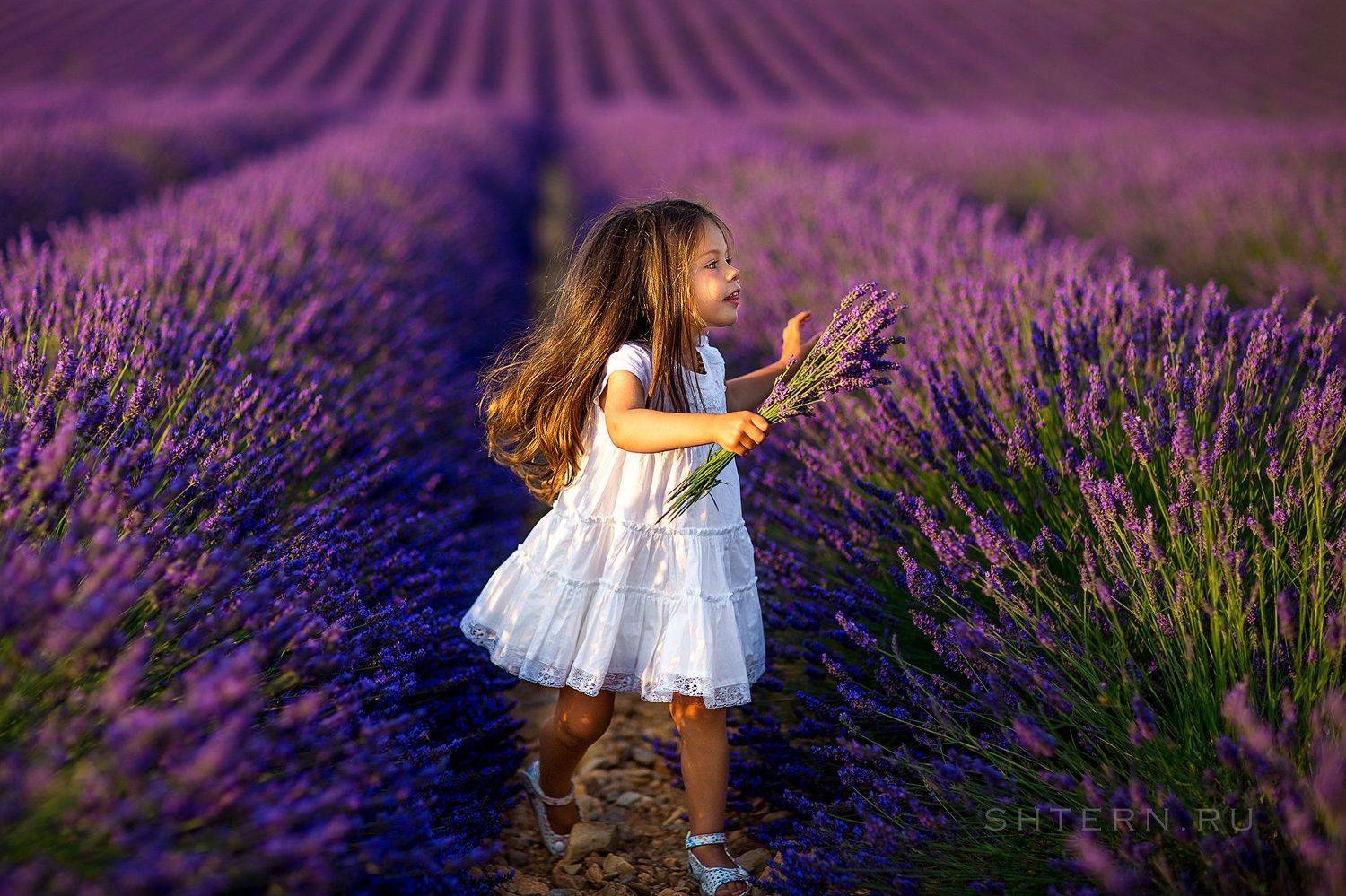 , Екатерина Штерн