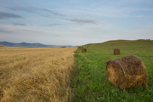 Природный фотошоп