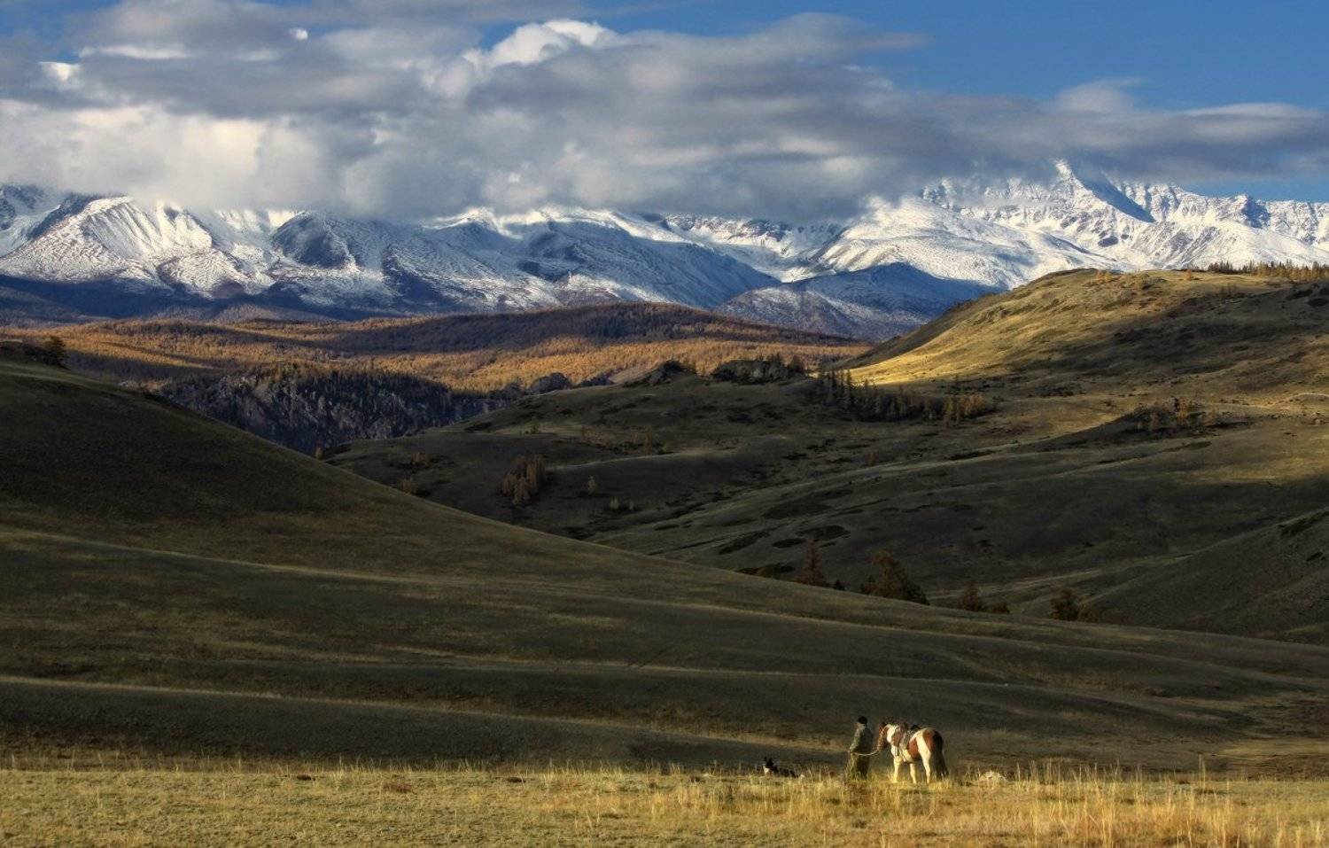 алтай, горный алтай, курай, северо-чуйский хребет, Галина Хвостенко