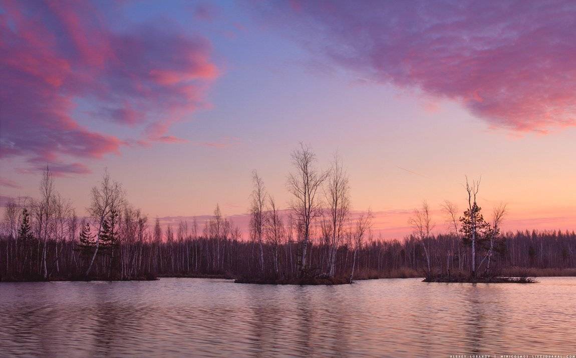 Ярославль, Ярославская область, Алексей Лобанов