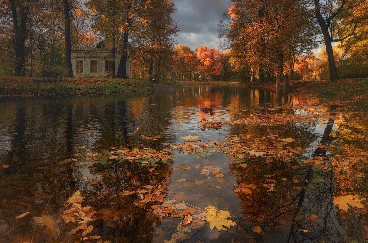 landscape, александровский парк, осень, питер, пушкин, царское, царское село, landscape, tsarskoyeselo, autumn,  городской пейзаж, санкт-петербург, Таня SHE (Aiya)