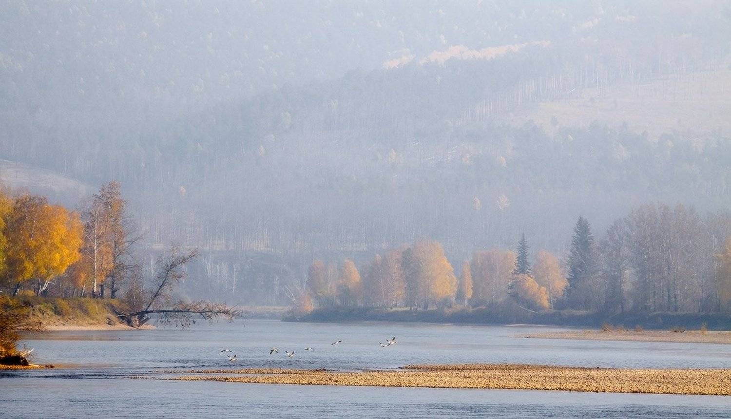 , Николай Морский