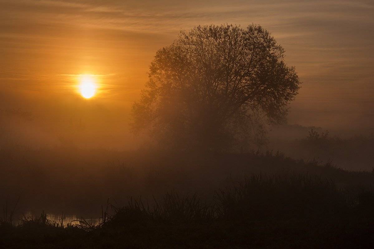 , Pawel Plucinski
