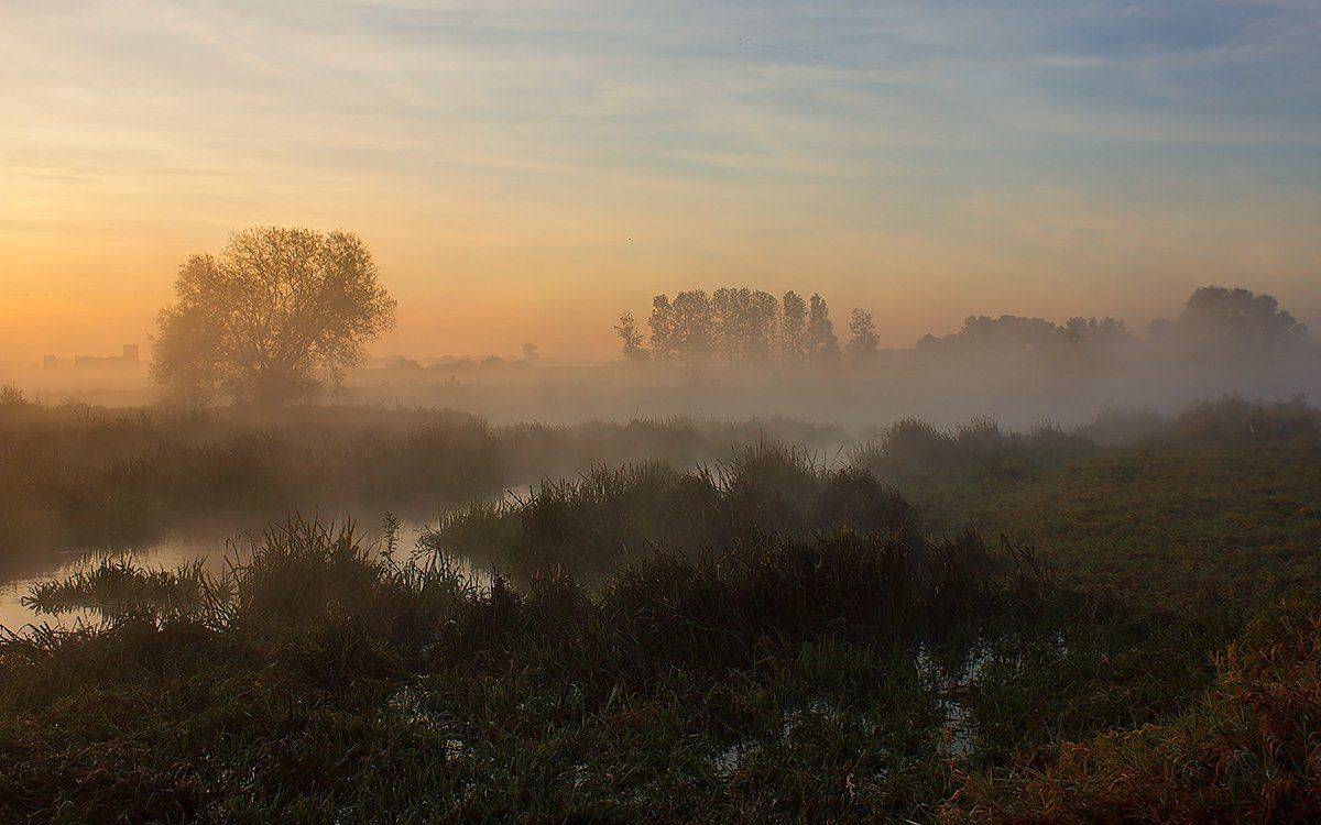 , Pawel Plucinski