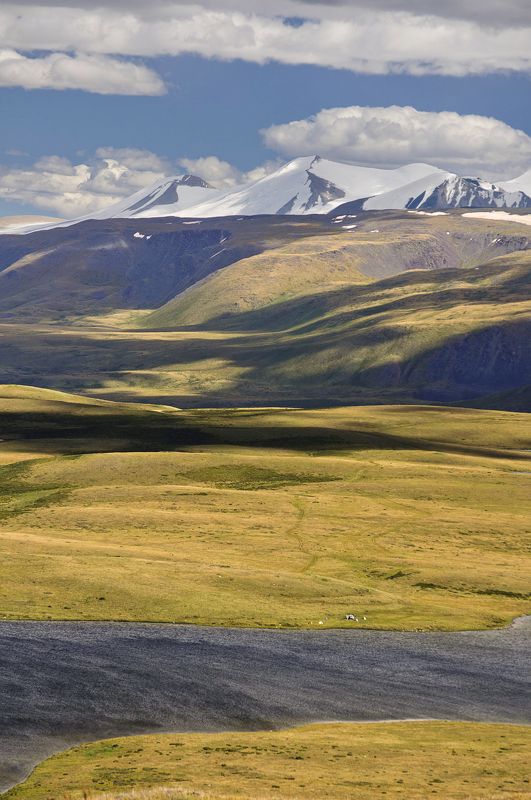тени на спинах холмов фото превью
