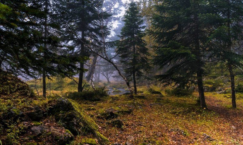 Дебри Софийской долины фото превью