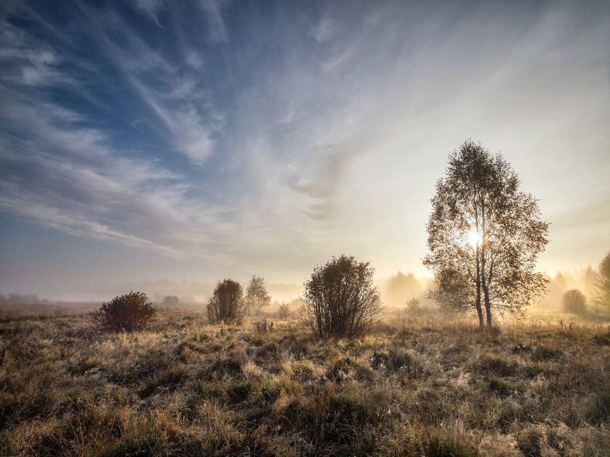 , Марина Брыдня