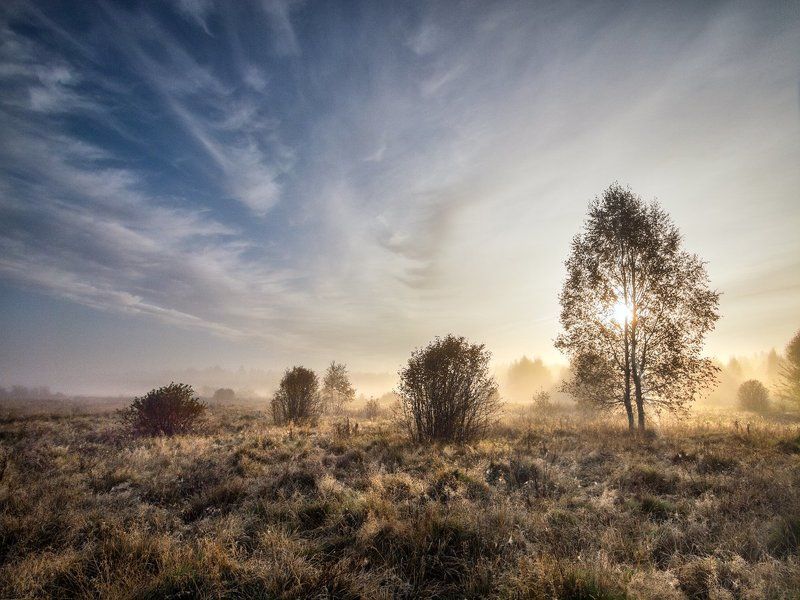 Яркое утро осеннего дня фото превью