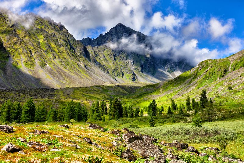 В долине Толты фото превью