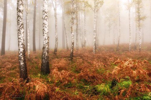 Сибирский Крым