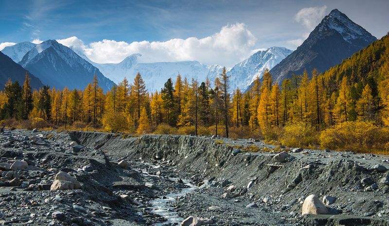 2016, Алтай, Белуха, Гора, Горы, Лиственница, Осень, Поход, Река *** фото превью