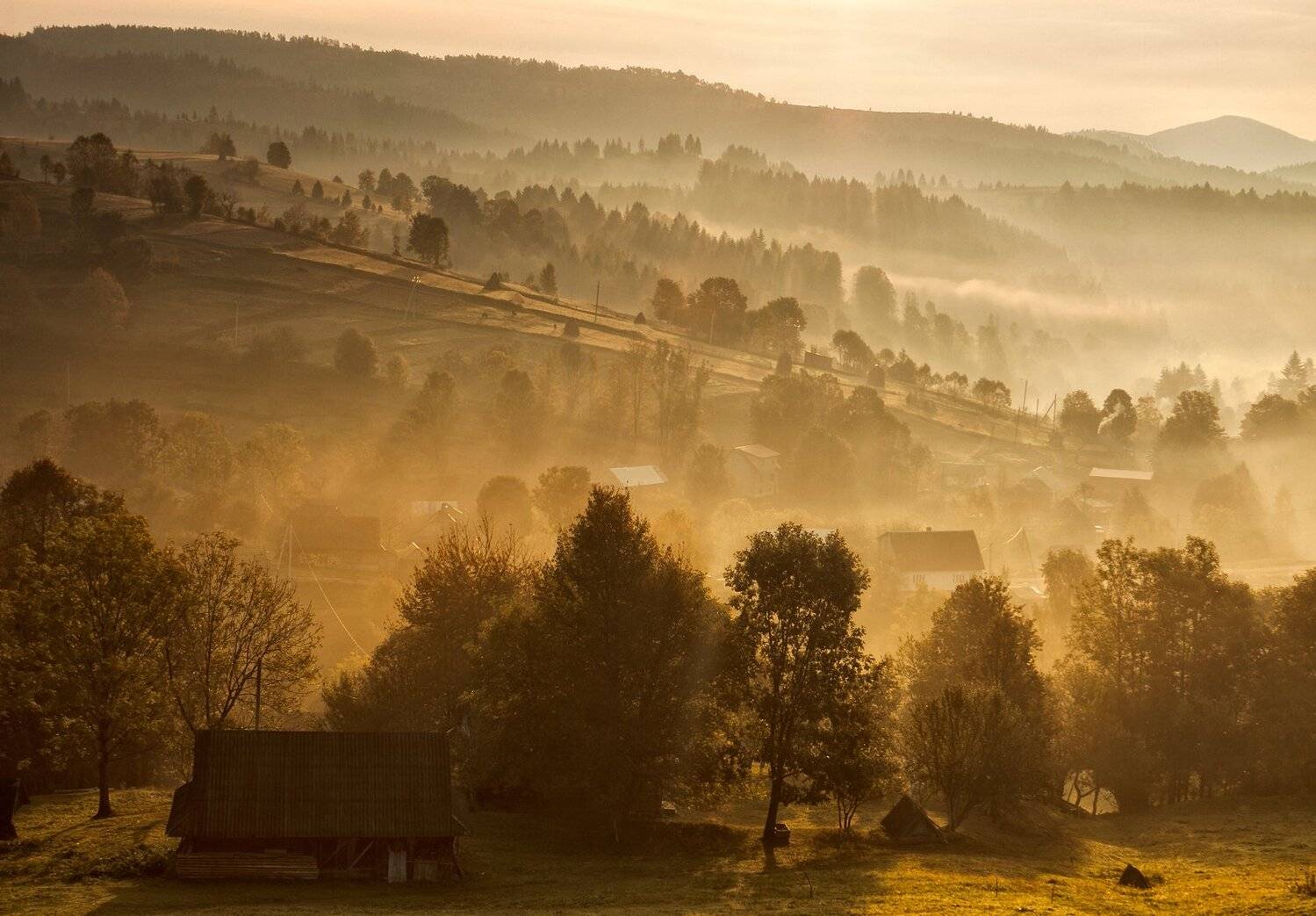 , Михаил Глаголев