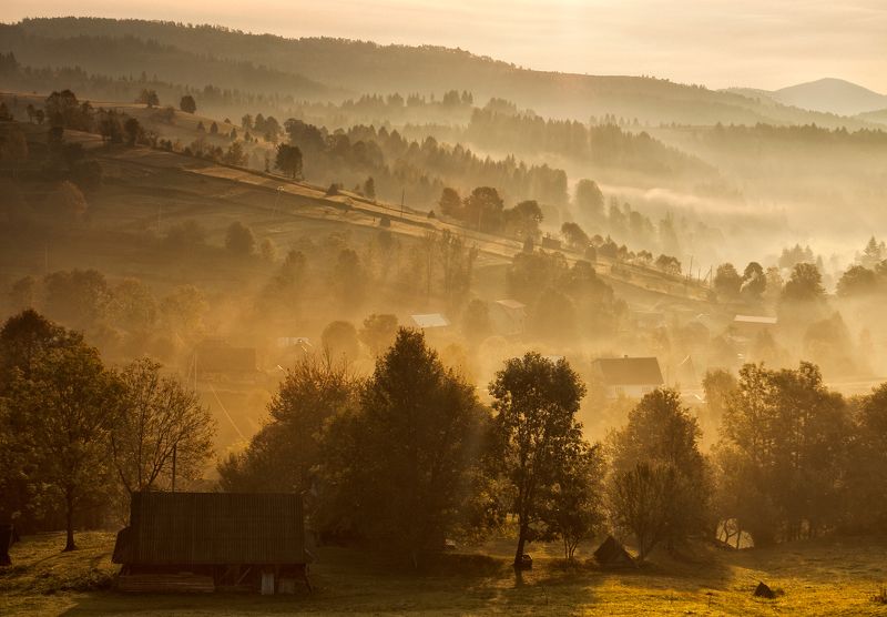 Был полон солнцем новый день... фото превью
