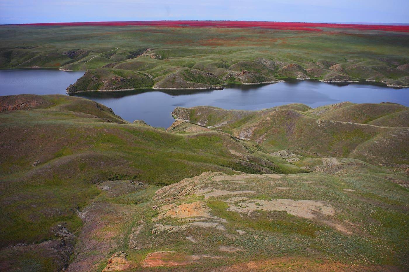 Казахстан, Куртинское водохранилище, Курты, маки, аэро, aerial, Борис Резванцев