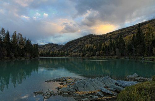 Тихий Аргут