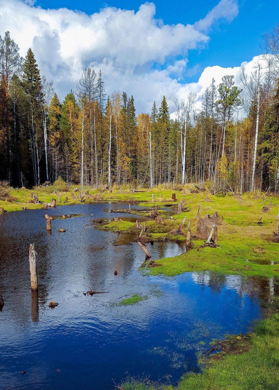 , Александр Казин