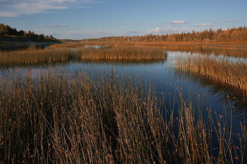 ********* фото превью