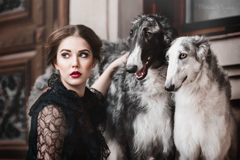 Борзые, Девушка, Портрет, Собака, Собаки Русские борзые фото превью