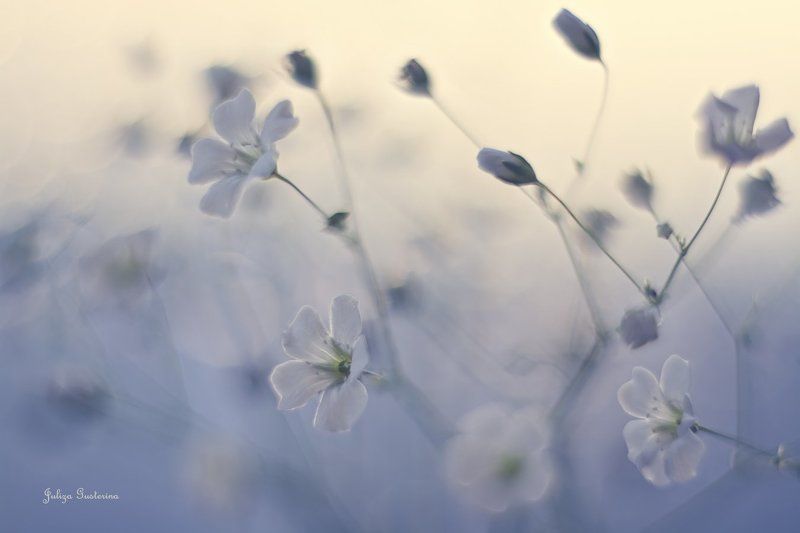 ♥ мечты о лете фото превью