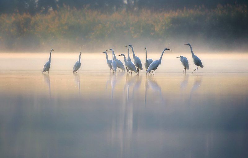 Cisza фото превью