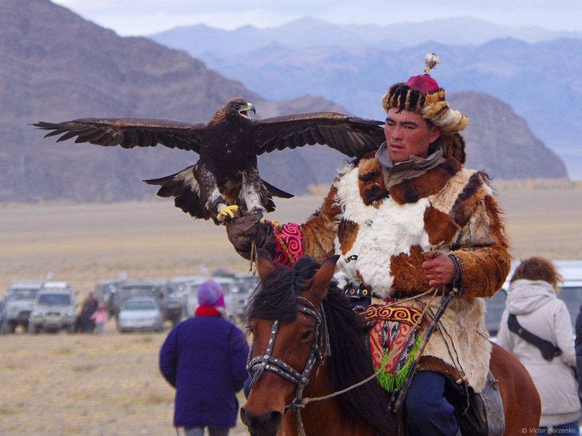 беркут, монголия, орел, охотник, беркутчи, Виктор Борзенко