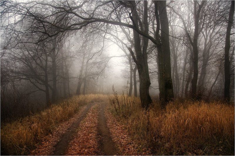 Дремло фото превью