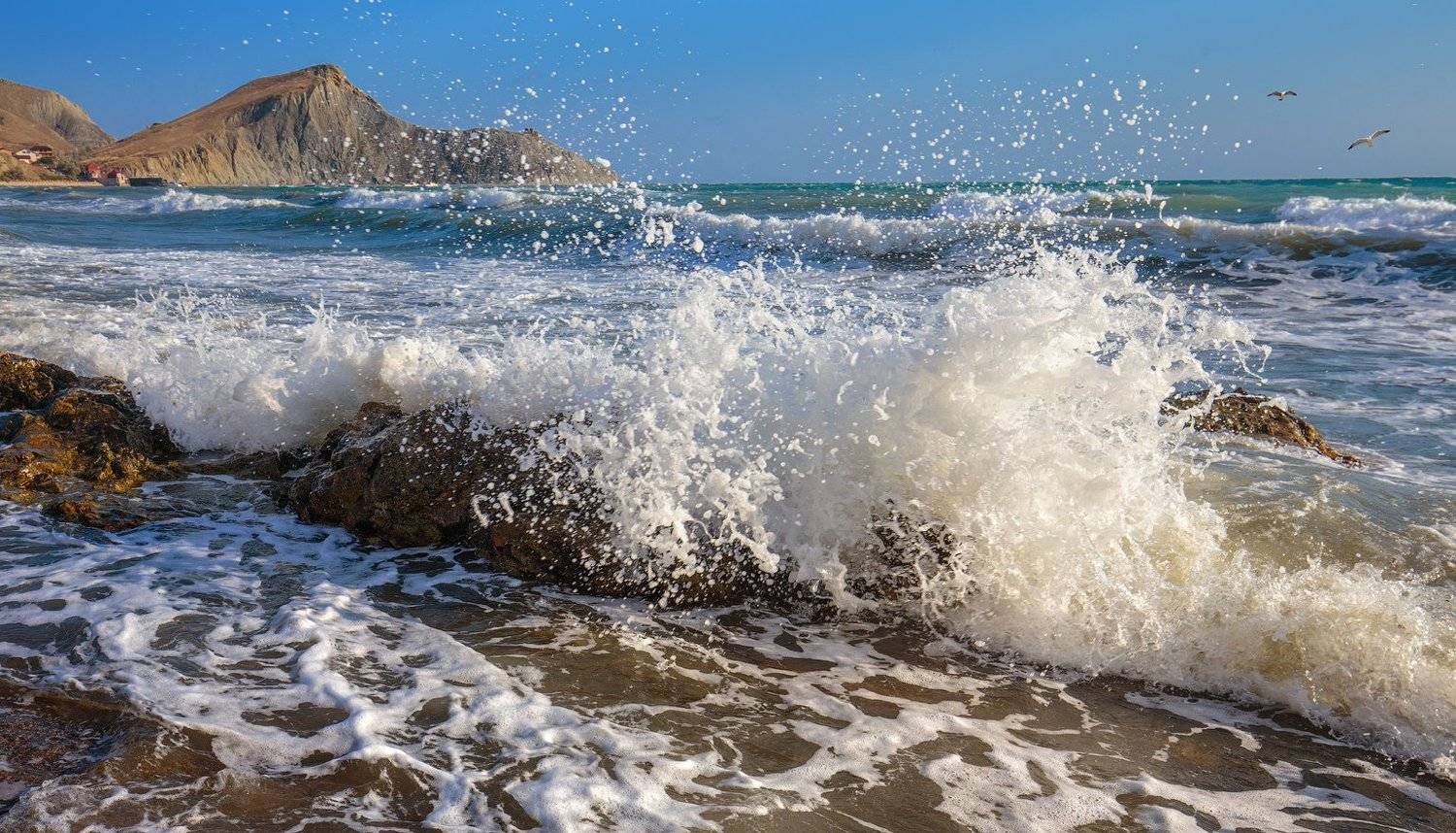 Волна, Лето, Море, Чайки, Чёрное море, Виктор Климкин