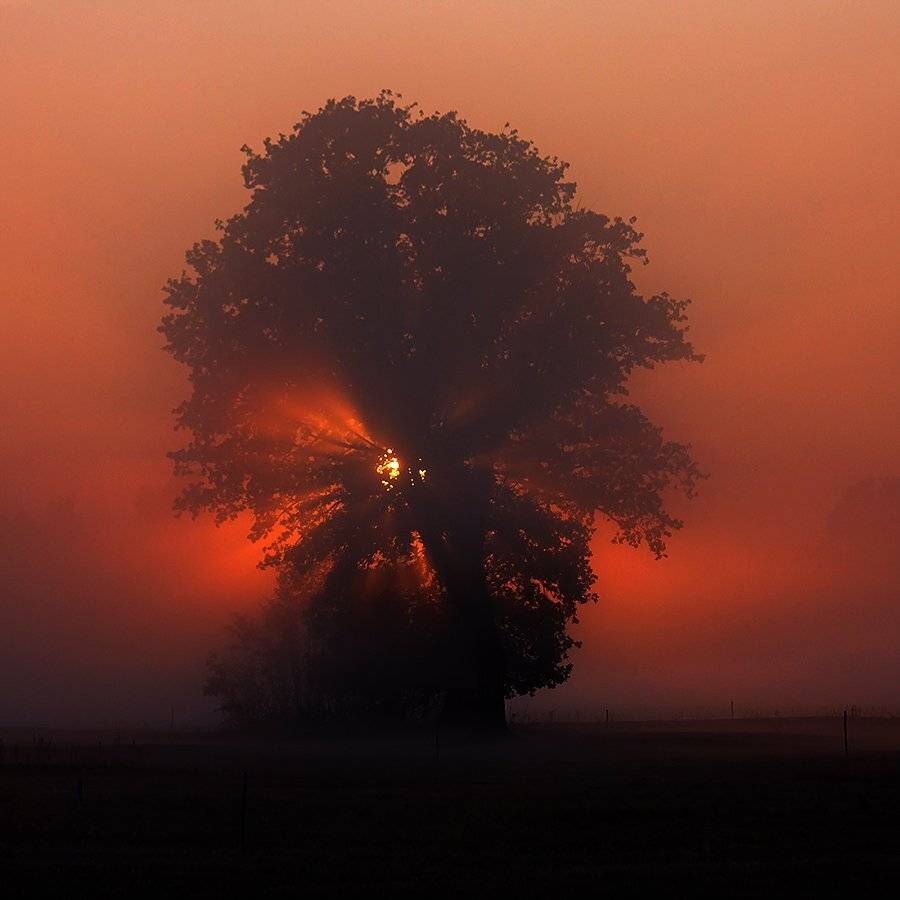 , Pawel Plucinski