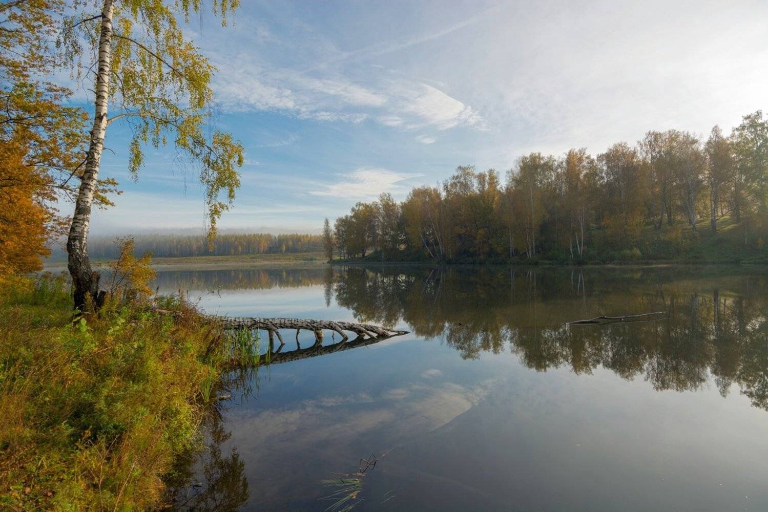 , Руслан Сигушин