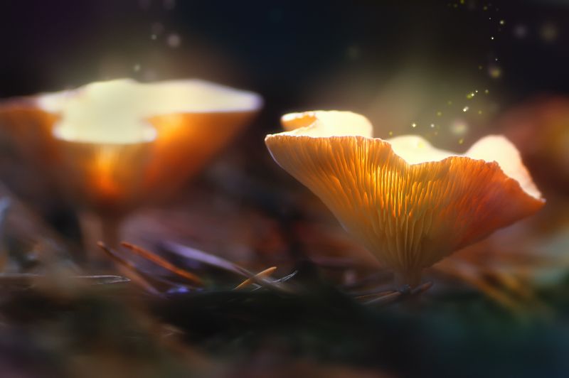 После полуночи !!! фото превью