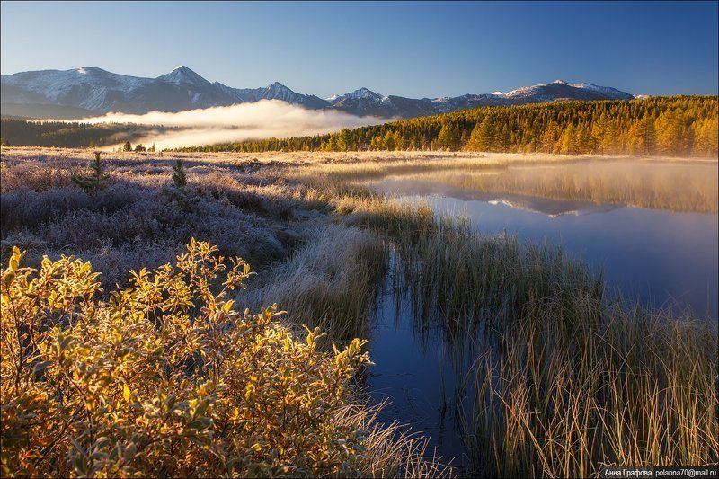 алтай, аня графова, горный алтай, горы, киделю, осень, улаганский перевал Золото морозного утра. фото превью