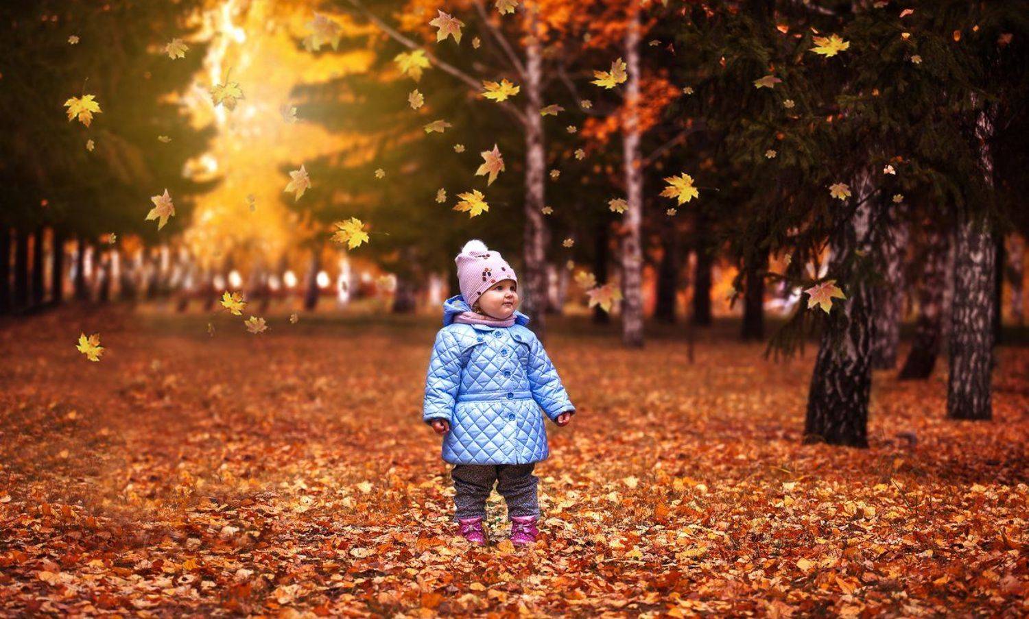 , Александр Губель