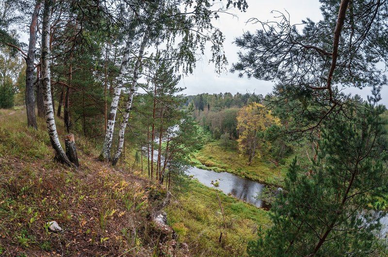 Держа ржев мозгово елец скала скалы сосны холм река Река Держа в Тверской области  фото превью