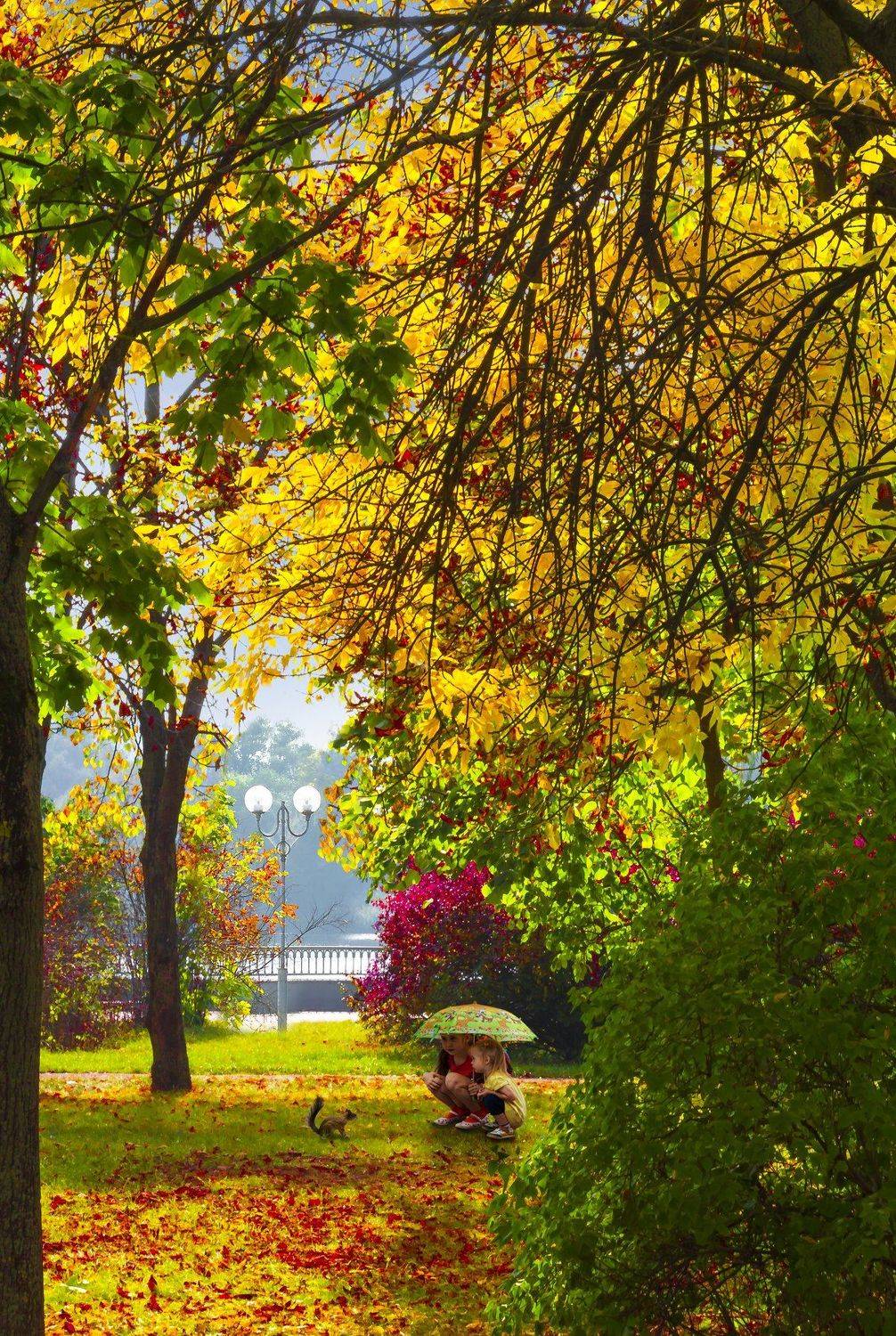 белка, брест, дети, листья, осень, Фото Брест