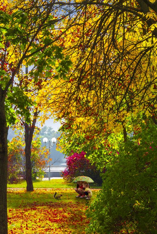 белка, брест, дети, листья, осень Пришла рыжая осень ) . фото превью