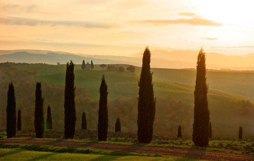 Бронзовое утро