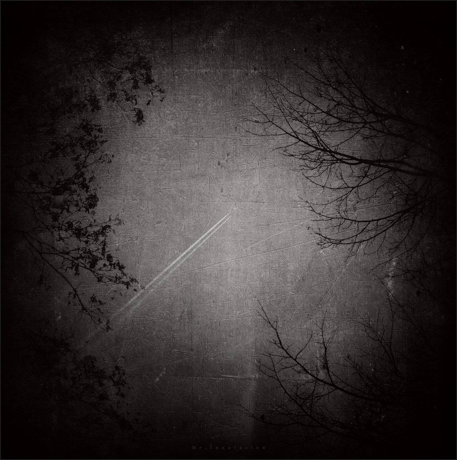 , Владислав Холодков