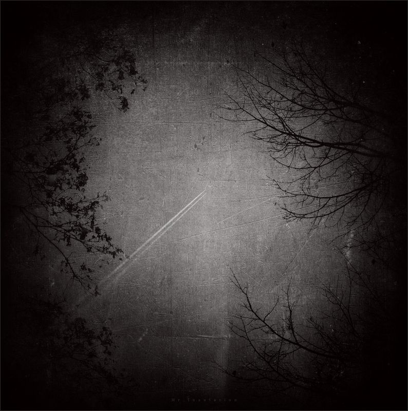 Нежность фото превью