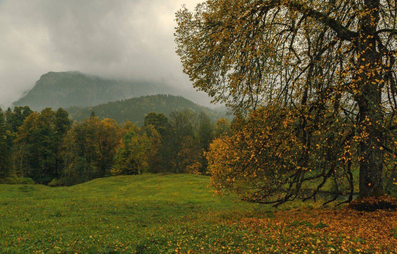Горы, Дождь, Лес, Осень, Александр Удовиченко