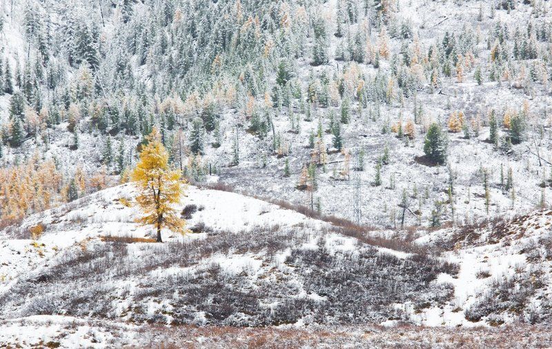 Удивленные убеленные. фото превью