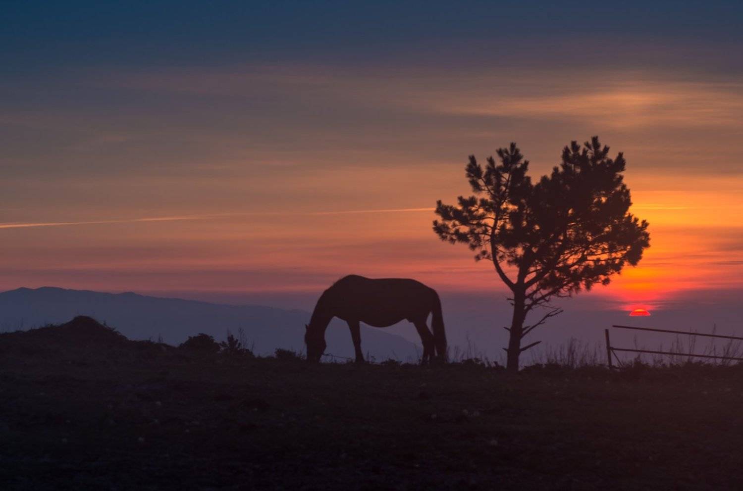 , Галанзовская Оксана