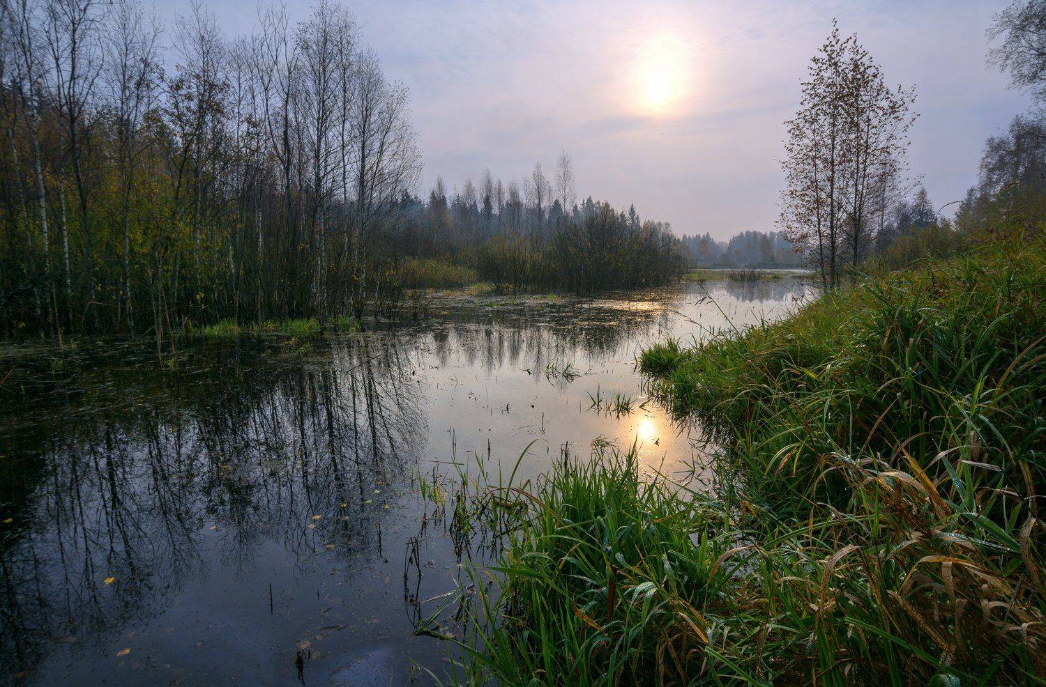 , Дмитрий Асеев