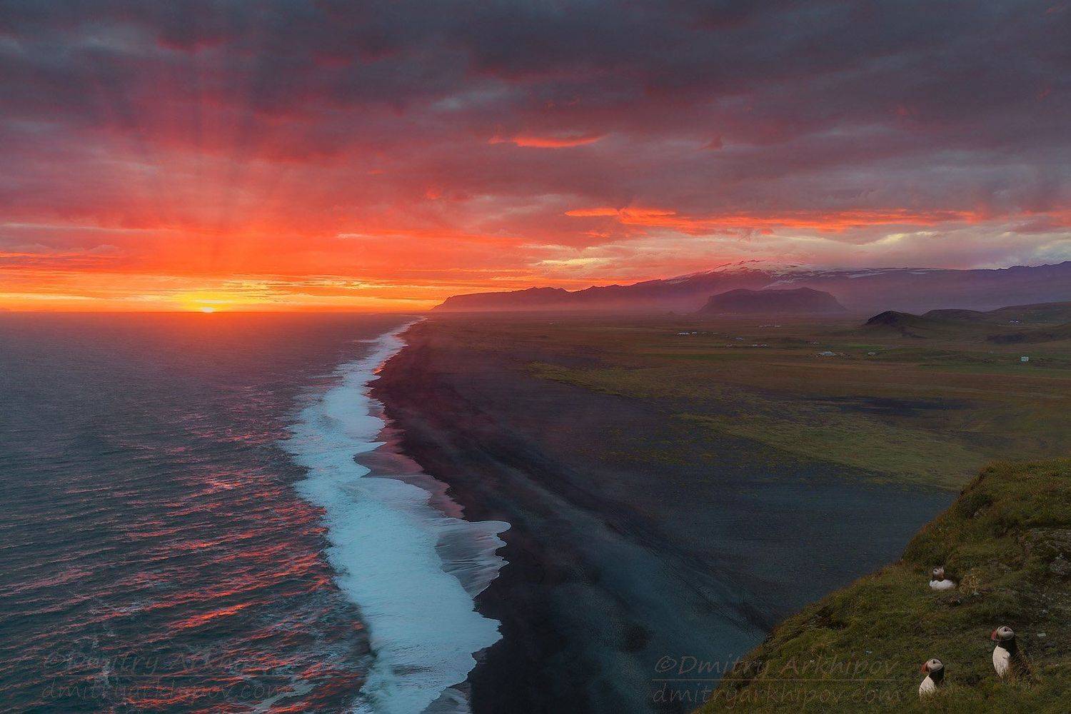 , Дмитрий Архипов