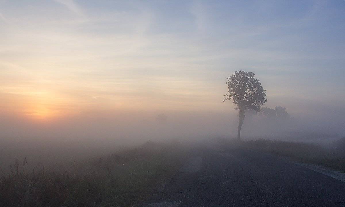 , Pawel Plucinski