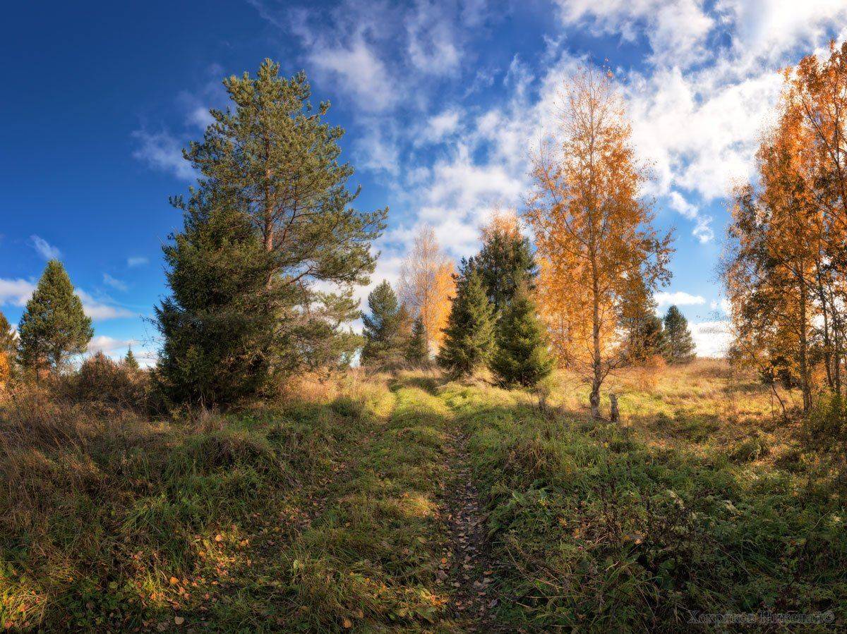 , Хохряков Николай