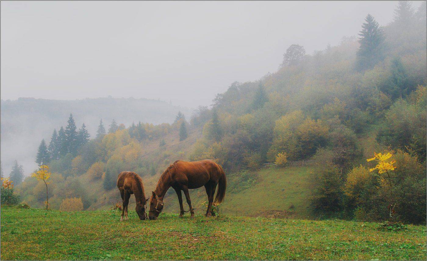 , Рудченко Анатолий
