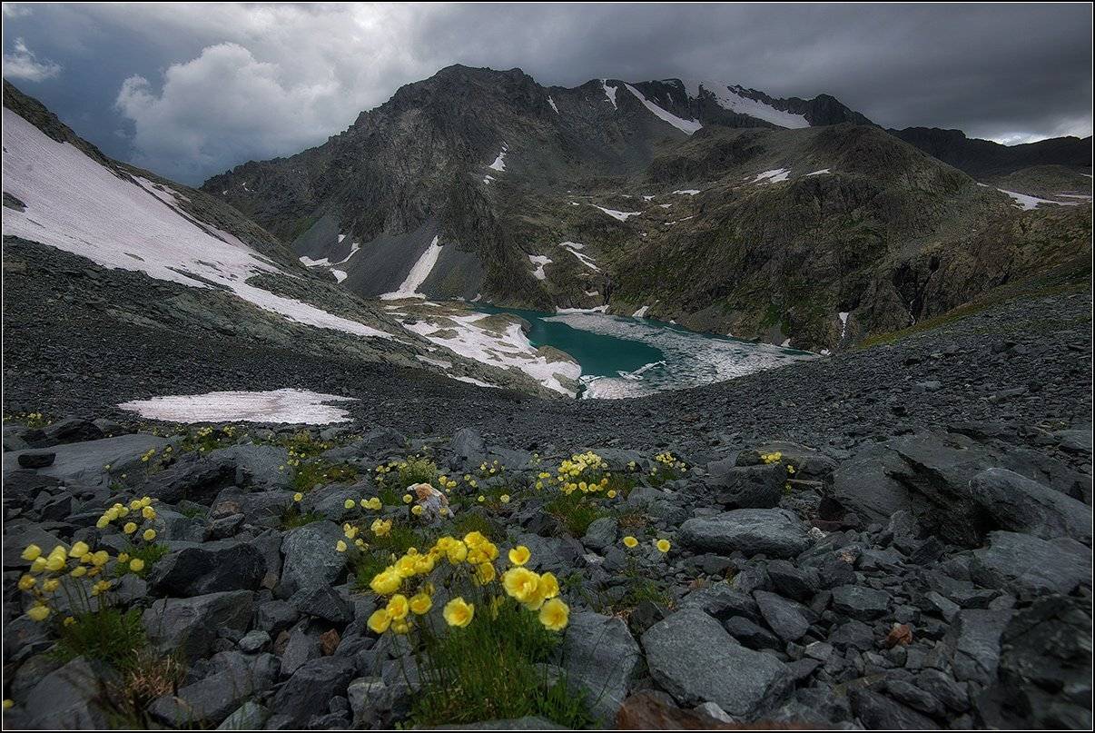 , АНАТОЛИЙ ДОВЫДЕНКО