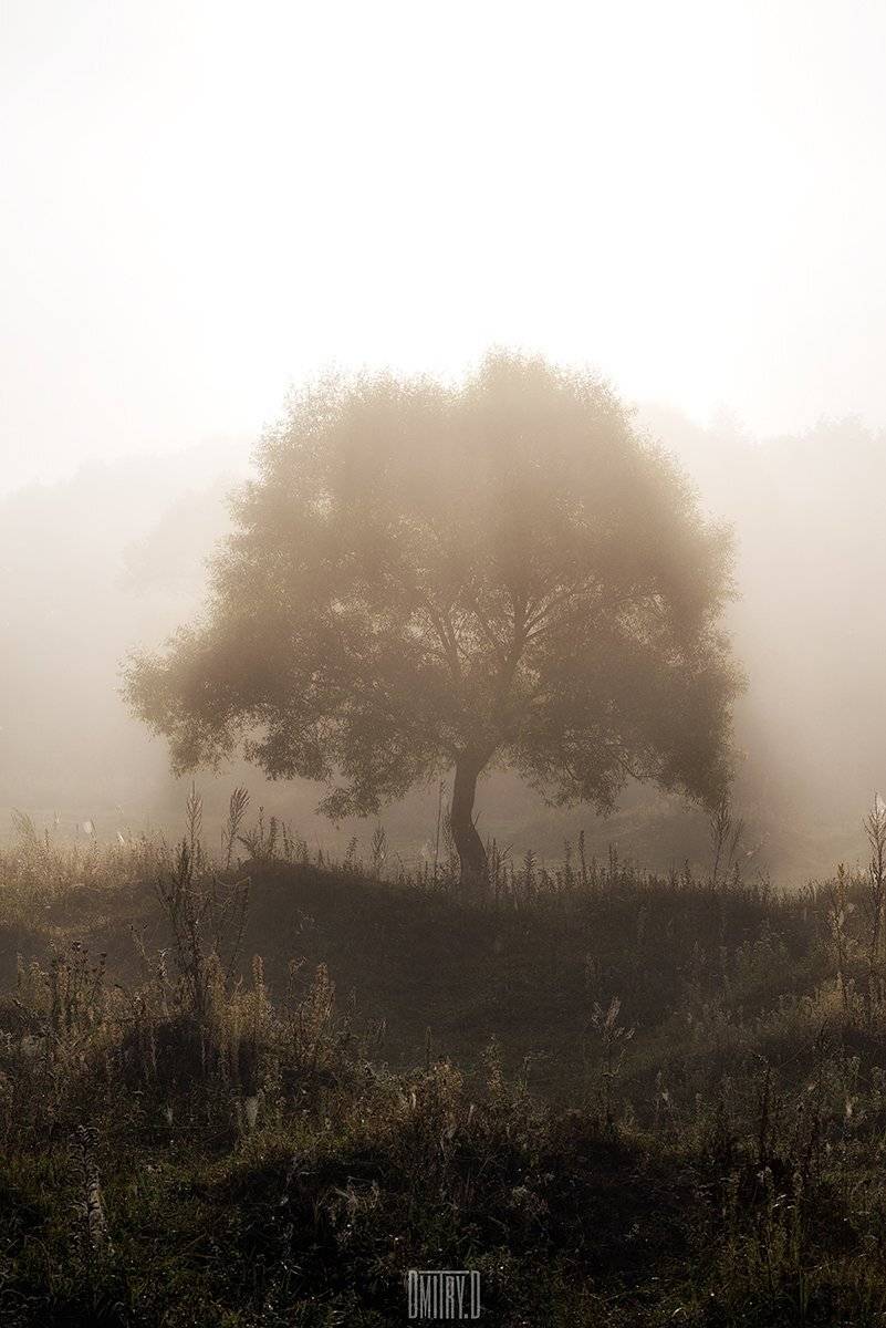 , Дмитрий Доронин